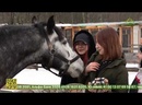 В городе Коммунар воспитанники детского центра «Дарина» совершили путешествие в конный клуб