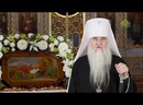 Рождественское поздравление митрополита Симбирского и Новоспасского Лонгина
